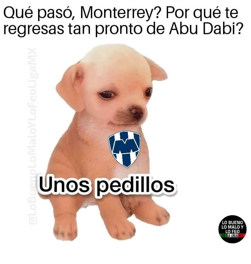 Mundial de Clubes: Los memes de la derrota de Rayados ante Al-Ahly